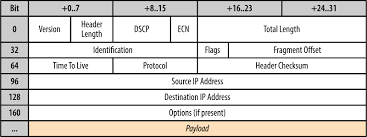 UDP header