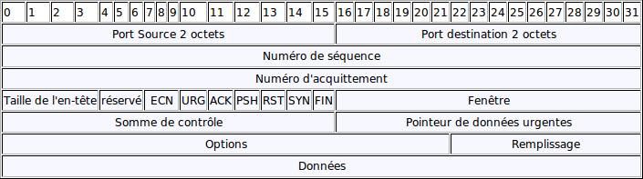 TCP Header